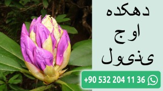 دهکده اوج ینیول